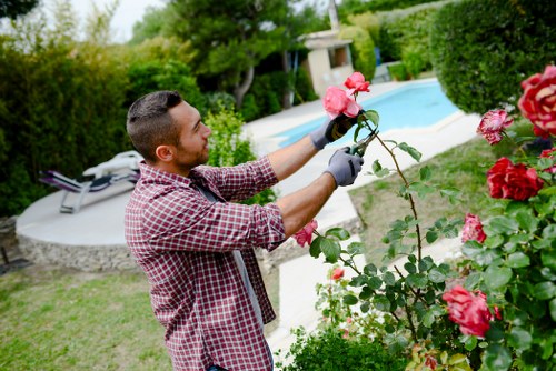 Gardener trimming a suburban hedge in Coney Hall