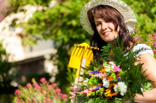 Lawn mowing team using low-emission mower in suburban garden