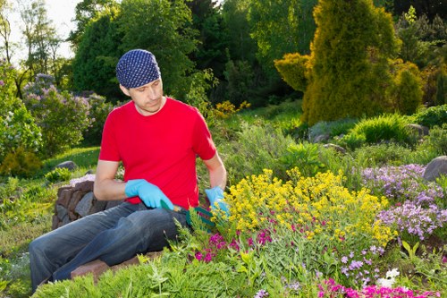 A man in a red t-shirt, blue protective gloves, and a blue patterned head covering is kneeling in a garden during daylight hours. He is surrounded by a variety of colorful flowering plants, including purple, yellow, and pink blooms, with some greenery and shrubbery visible. The garden features neatly arranged flower beds and a well-maintained lawn area in the foreground. Behind him, there are taller trees and dense greenery, indicating a landscaped outdoor space likely in Coney Hall or nearby areas. The lighting suggests a clear, sunny day, and the scene portrays active gardening work, possibly maintenance or planting, aligning with professional garden care services offered by Hedge Trimming Coney Hall. The setting includes natural tones of soil, vibrant flower colours, lush green foliage, and a neatly trimmed hedge in the distance, demonstrating a cared-for and aesthetically pleasing garden environment suitable for outdoor leisure and horticultural enhancement.