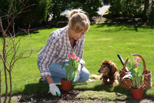 Operatives wearing PPE and using powered trimmers during hedge maintenance