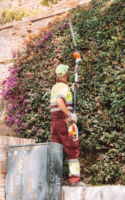 A gardener wearing a dark hat and long-sleeved clothing is trimming a dense, flowering hedge using long-handled pruning shears. The hedge features lush green leaves interspersed with soft pink blossom